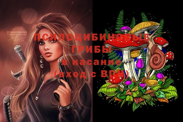 ALPHA PVP Елизово