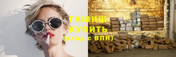 меф Ельня