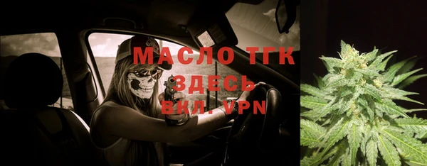 меф Ельня