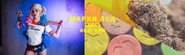меф Ельня