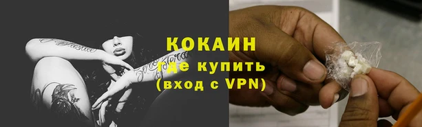 меф Ельня