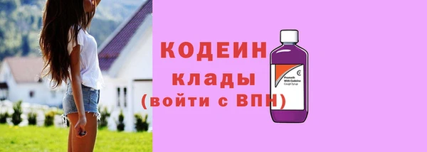 меф Ельня