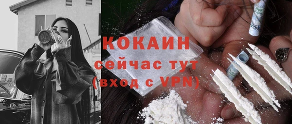 меф Ельня