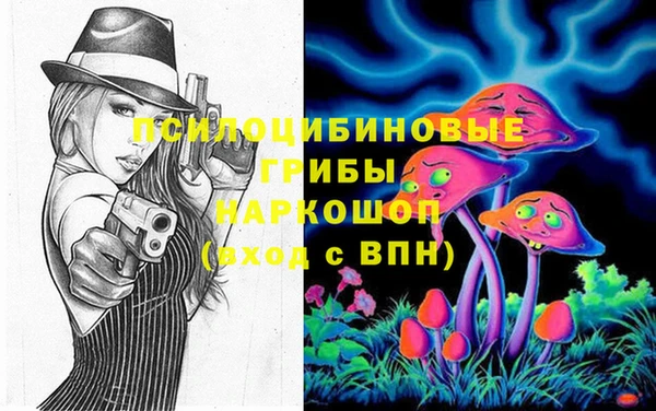 меф Ельня