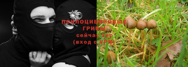 меф Ельня