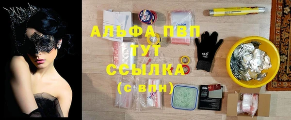 меф Ельня