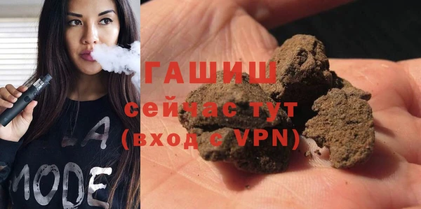 меф Ельня