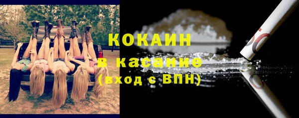 меф Ельня