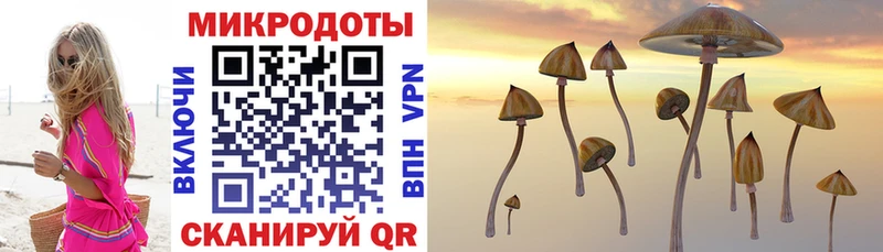 Псилоцибиновые грибы прущие грибы Мамоново